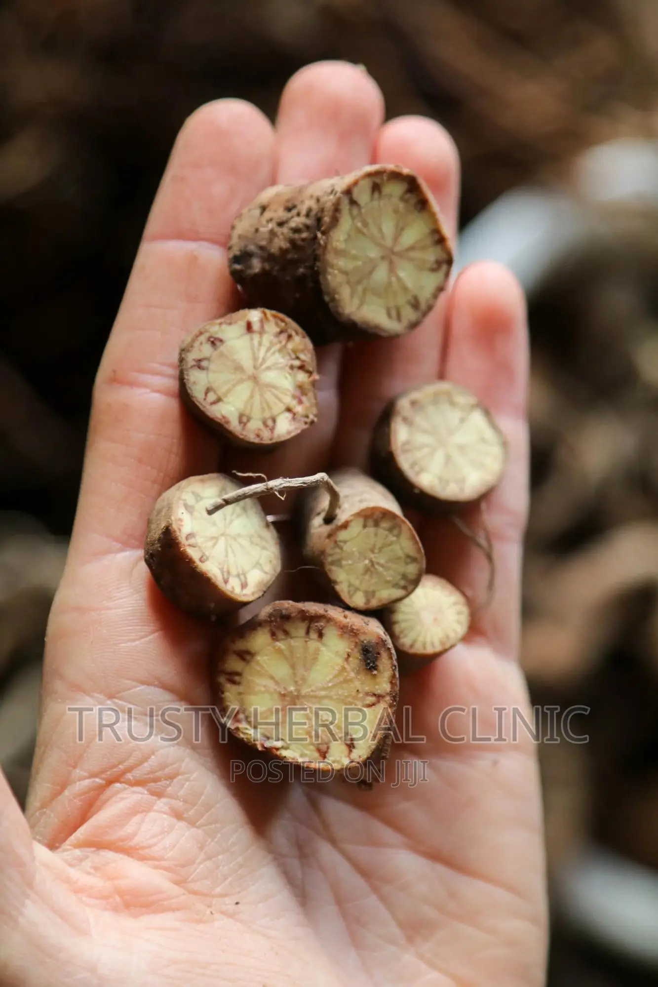 Organic Kava Kava Root( Treatment of Anxiety Insomnia) in Accra