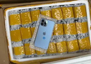 Apple iPhone 13 Pro Max 256 GB Gray