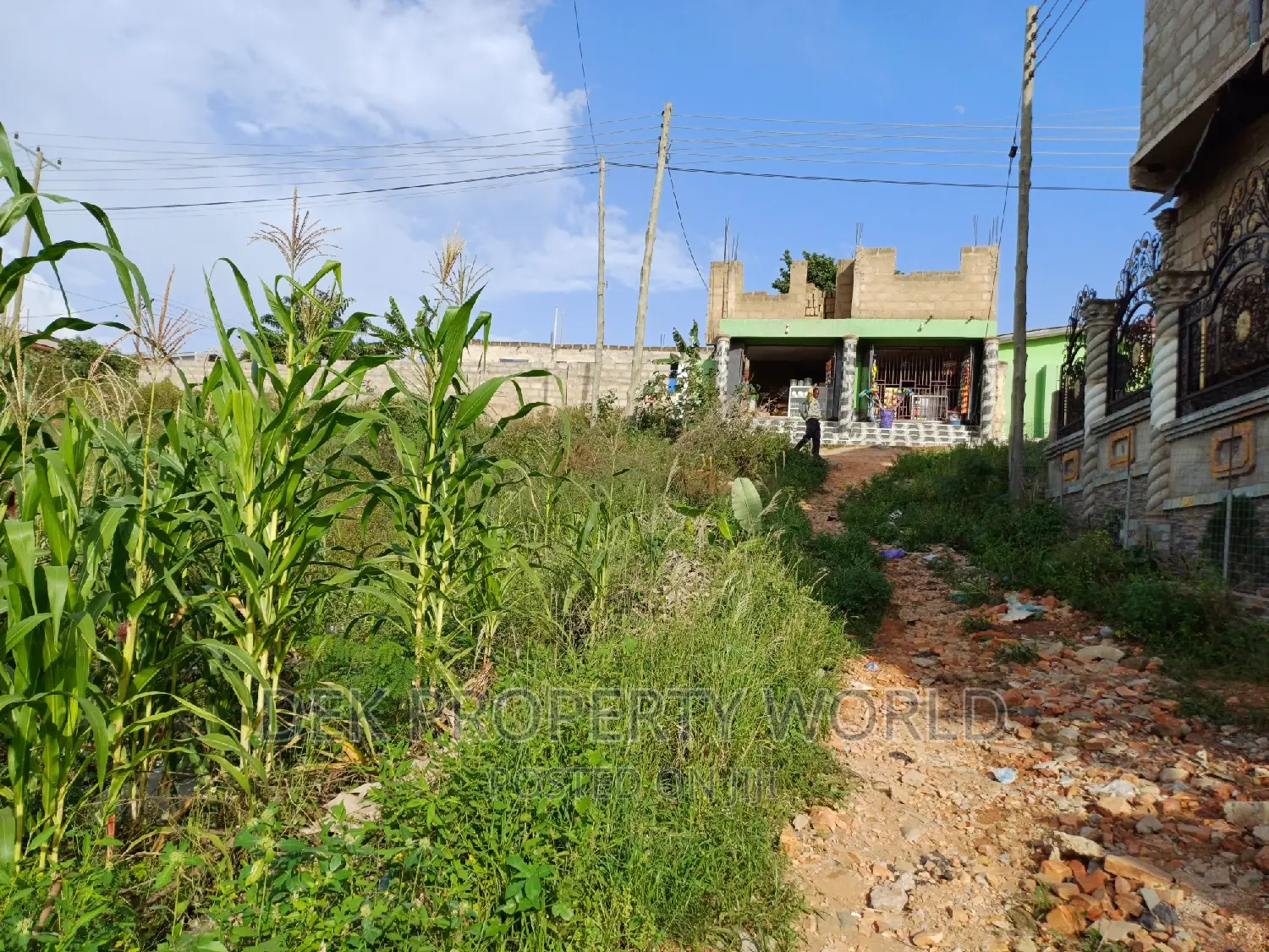 Genuine 2 Plots For Sale Around Taifa.
