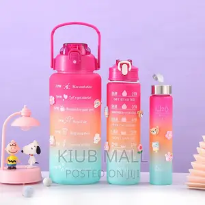 3 in 1 Water Bottle