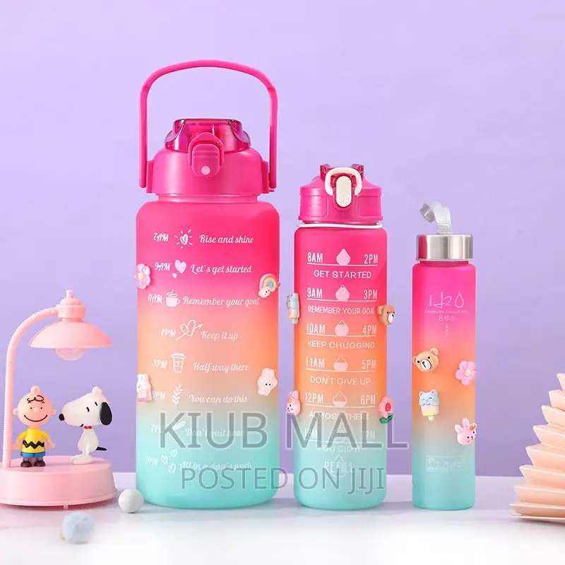 3 in 1 Water Bottle