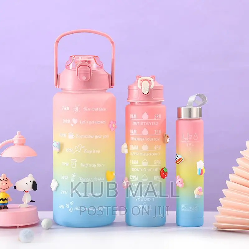 3 in 1 Water Bottle