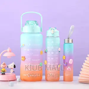 3 in 1 Water Bottle
