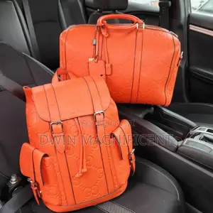 Travel Bag and Backpack (2 in 1)