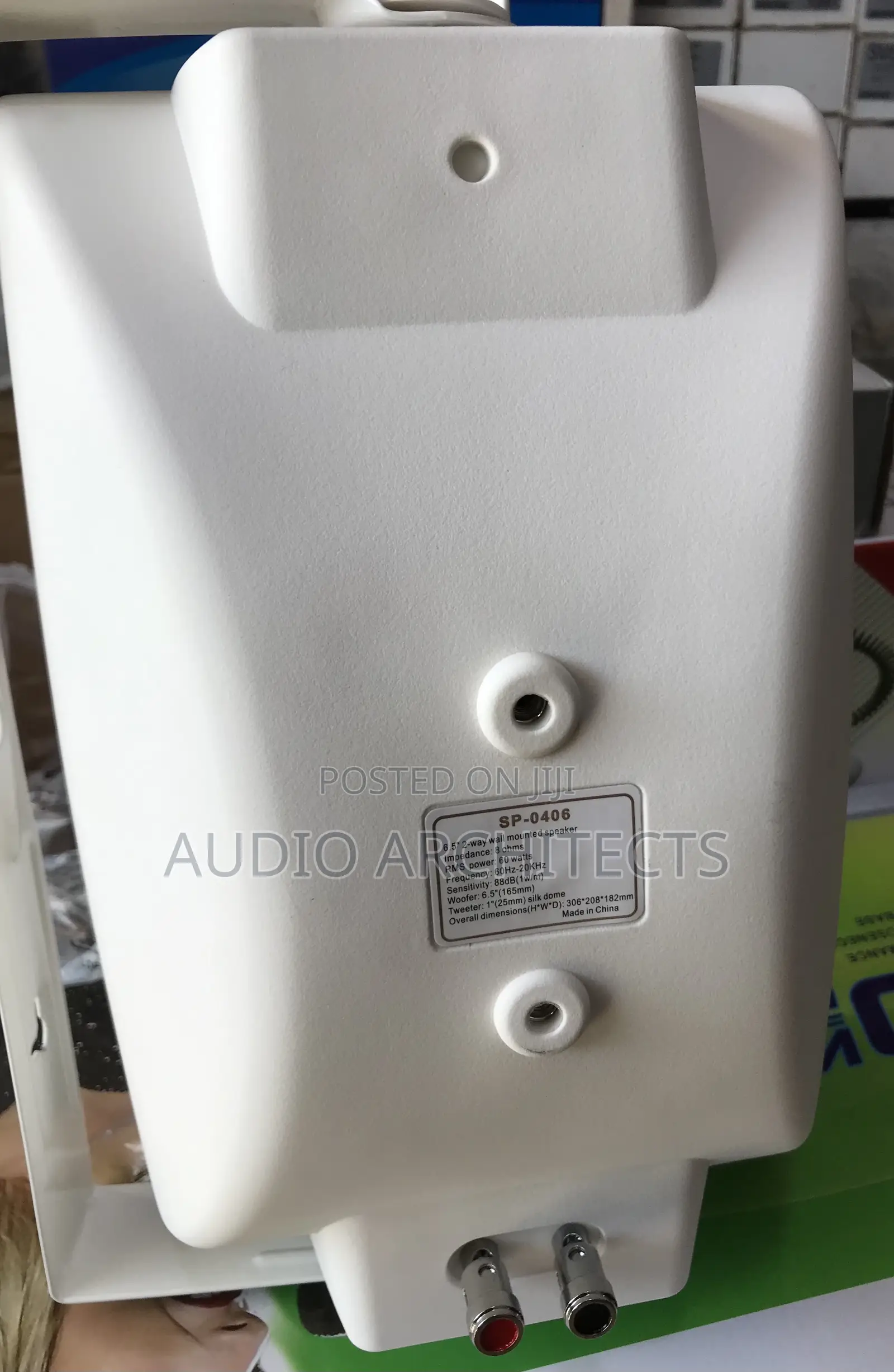 Wall Speaker