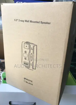 Wall Speaker