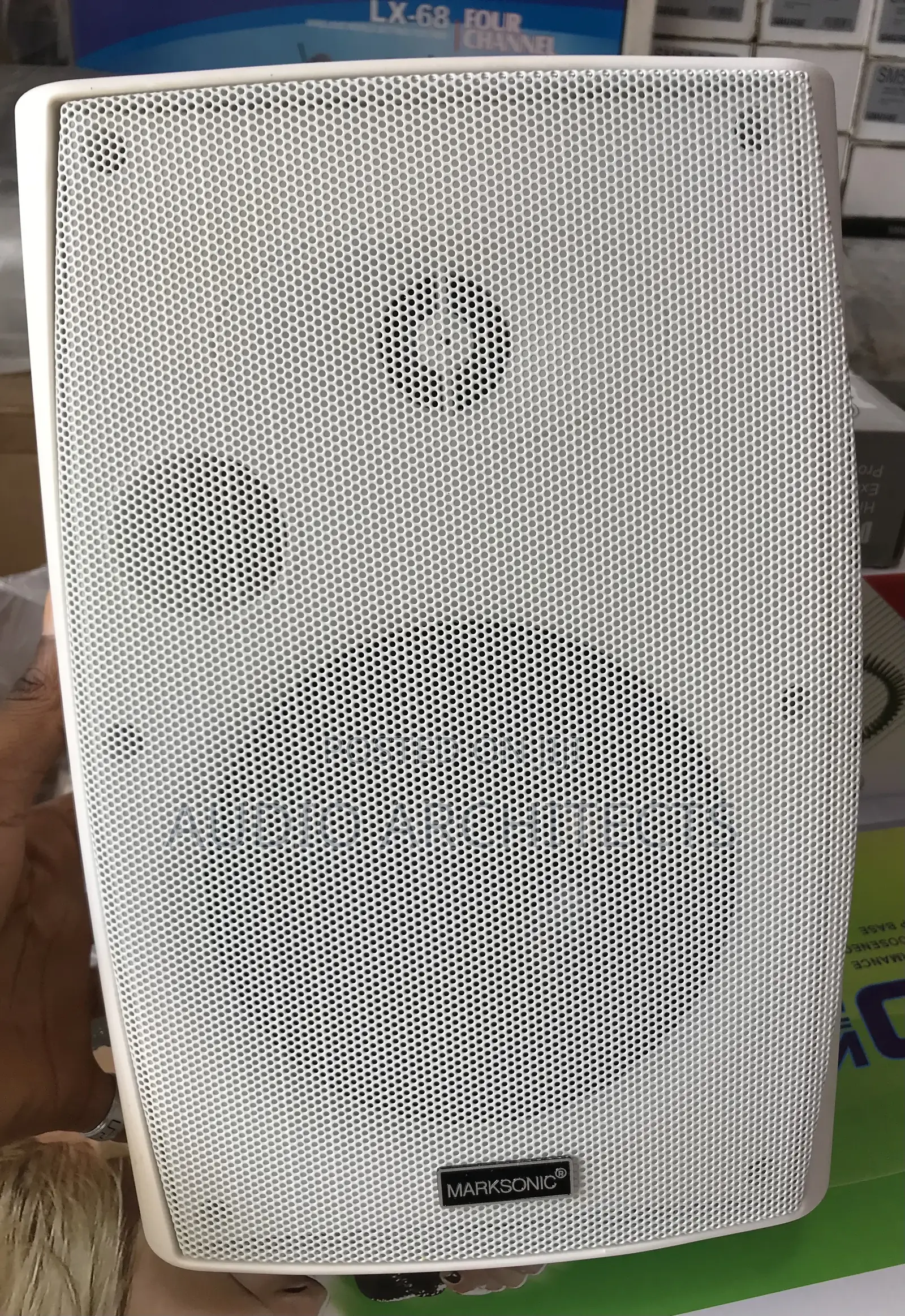 Wall Speaker