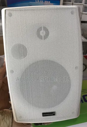 Wall Speaker