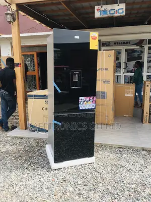  309L Glass Black Pearl Pf-400bg Bottomfreezer Doubledoor