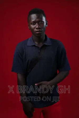 Professional Video Editor