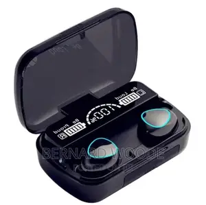 2 in 1 Earbuds