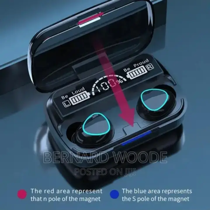2 in 1 Earbuds