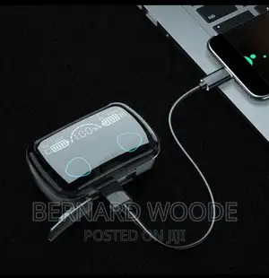 2 in 1 Earbuds