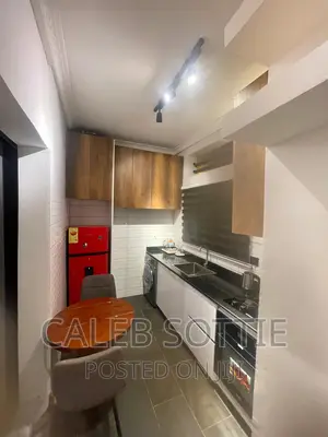 Furnished Studio Apartment in Rich Homes (No Agent, Spintex for rent