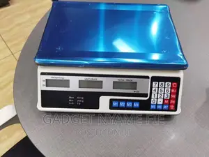 Electronic Price Computing Scale-40kg