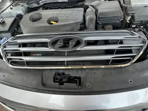 Hyundai Santa Fe 2016/2017 Grille
