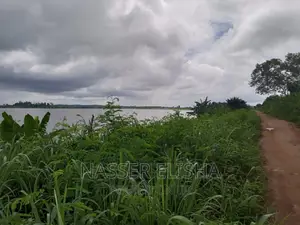 Mankessim Farm Lands for Sale