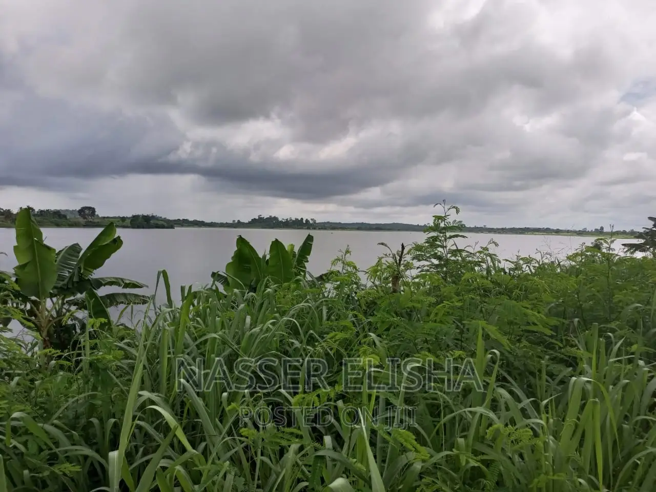 Mankessim Farm Lands for Sale