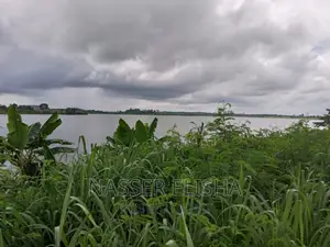 Mankessim Farm Lands for Sale