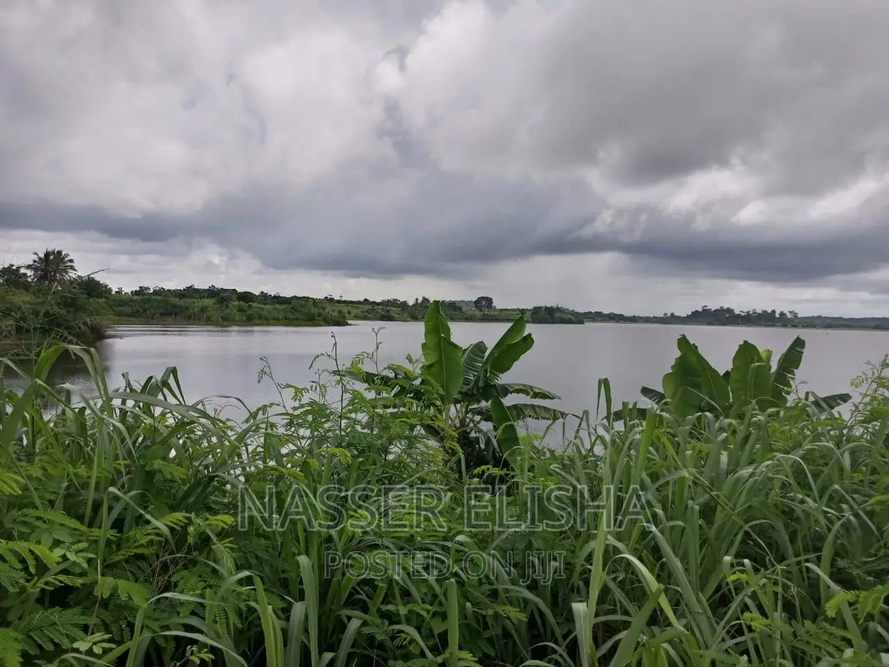Mankessim Farm Lands for Sale