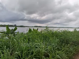 Mankessim Farm Lands for Sale