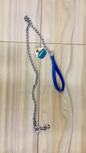 Dog Chain With Harness