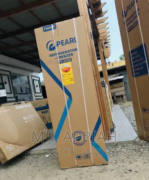 Quality Yet Affordable Pearl PF-200B Electric Fridge(Gray).
