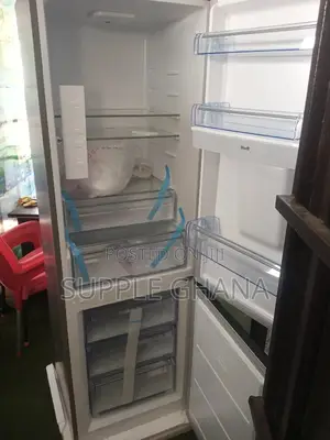 Top and Bottom Space of Affordable 309L Pearl Refrigerator