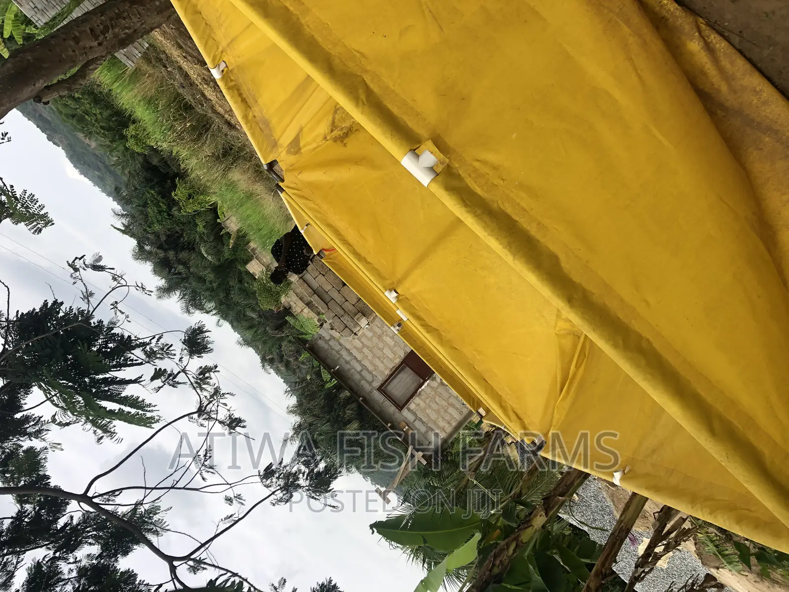 Used German Tarpaulin Fish Tank