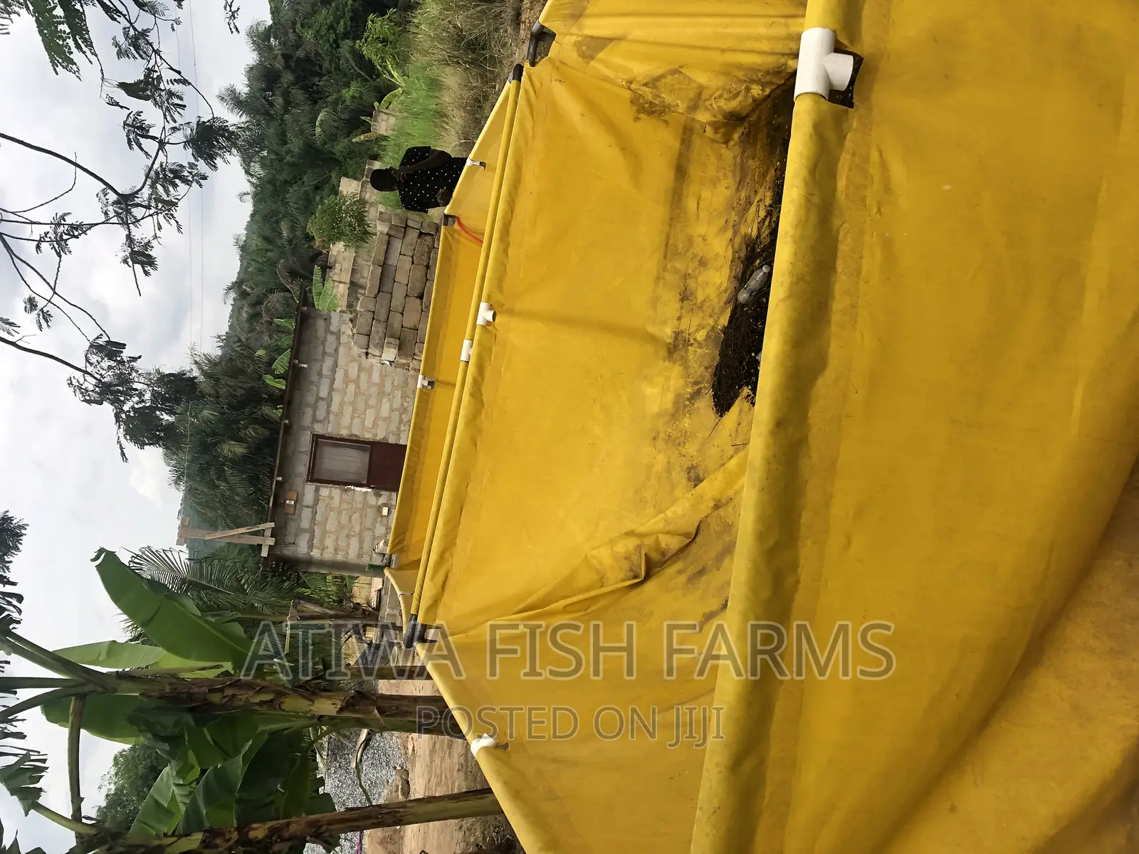 Used German Tarpaulin Fish Tank