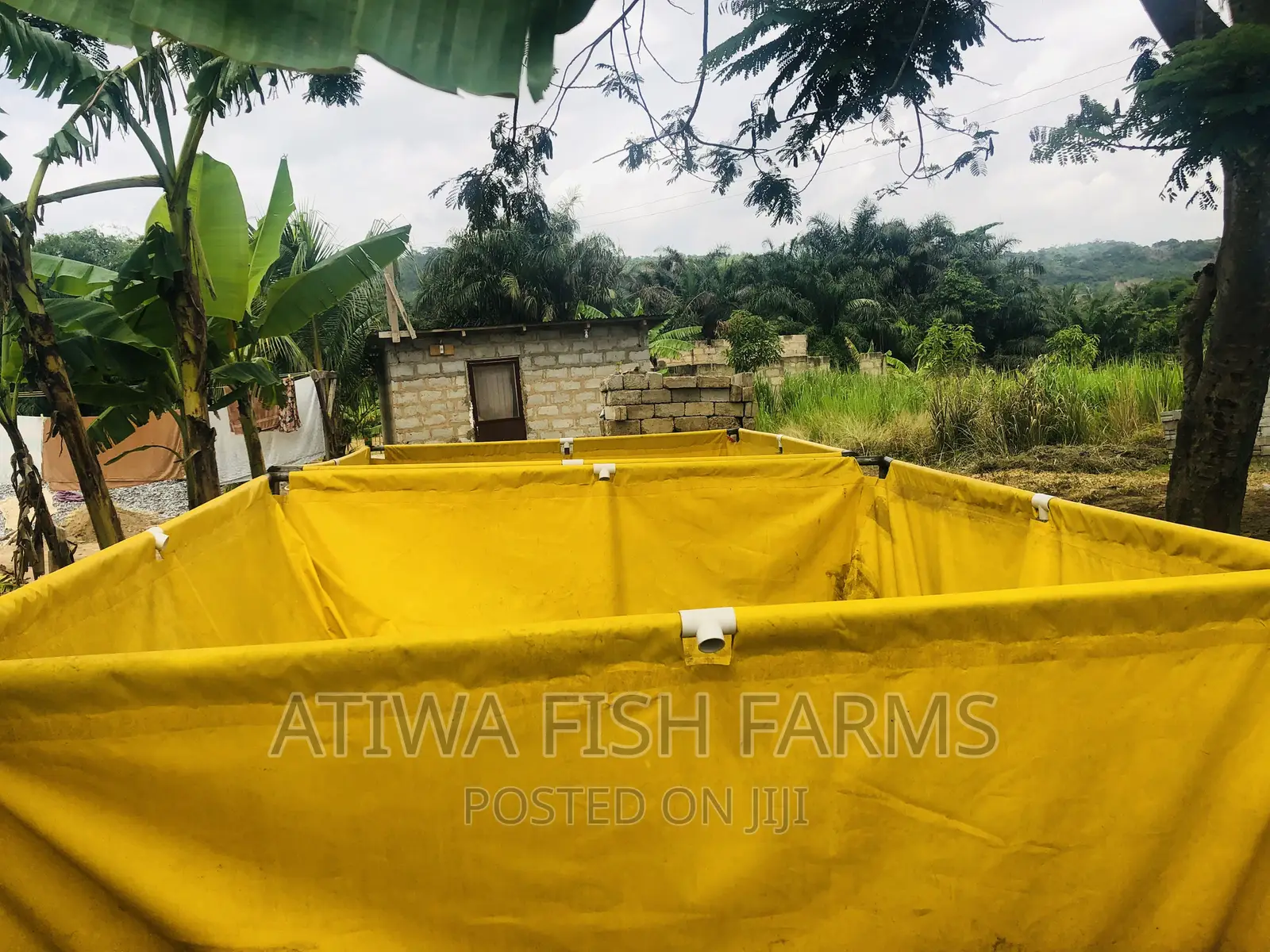 Used German Tarpaulin Fish Tank
