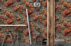 3d Wallpapers