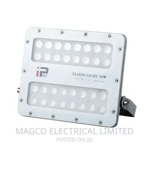 Flood Light 30w