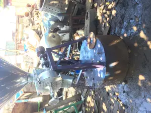 Fruit Squeezer and Grinding Machine
