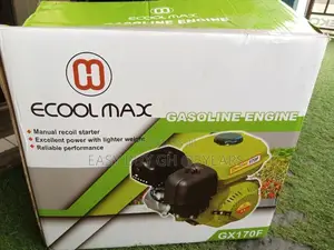 Ecool Max Gasoline Fufu Pounding Machine