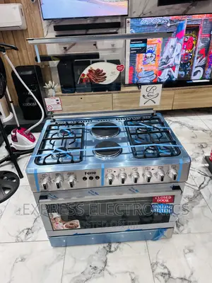 Ferre 60/90 Gas Electric Cooker Oven Rotisserie 4-2 Sliver