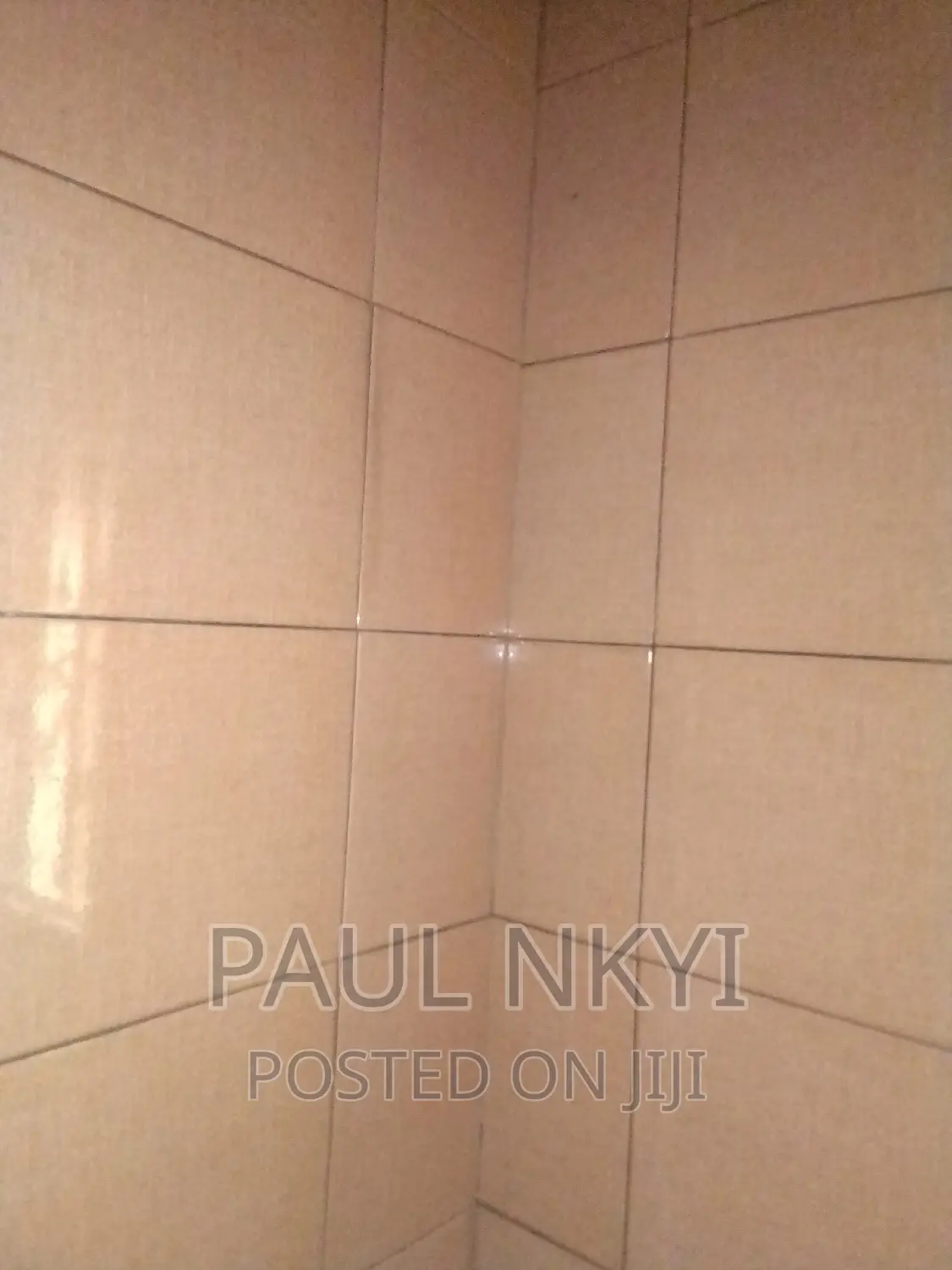 Expert Tiler