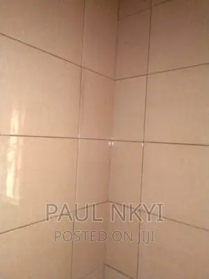 Expert Tiler