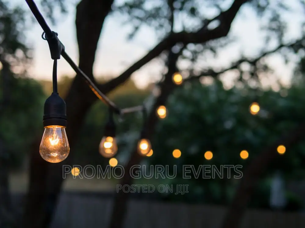 String Lights Rentals (Outdoor & Indoor)
