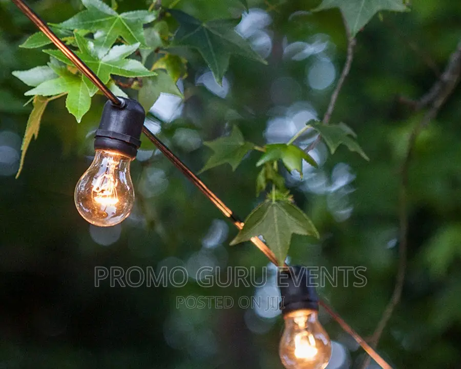 String Lights Rentals (Outdoor & Indoor)