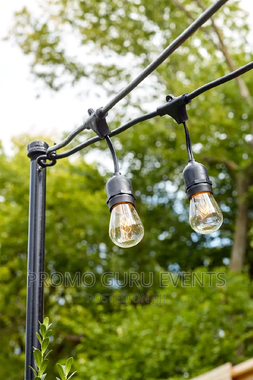 String Lights Rentals (Outdoor & Indoor)