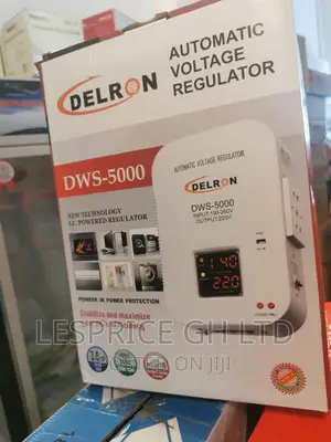 Powerful Delron Wall Mounted DWS-5000 Automatic Voltage 5kva