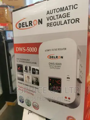Admirable Delron Wall Mounted DWS-5000 Automaticvoltage 5kva
