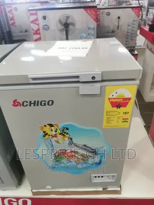Energy Efficiency ~Chigo 93L Chest Freezer