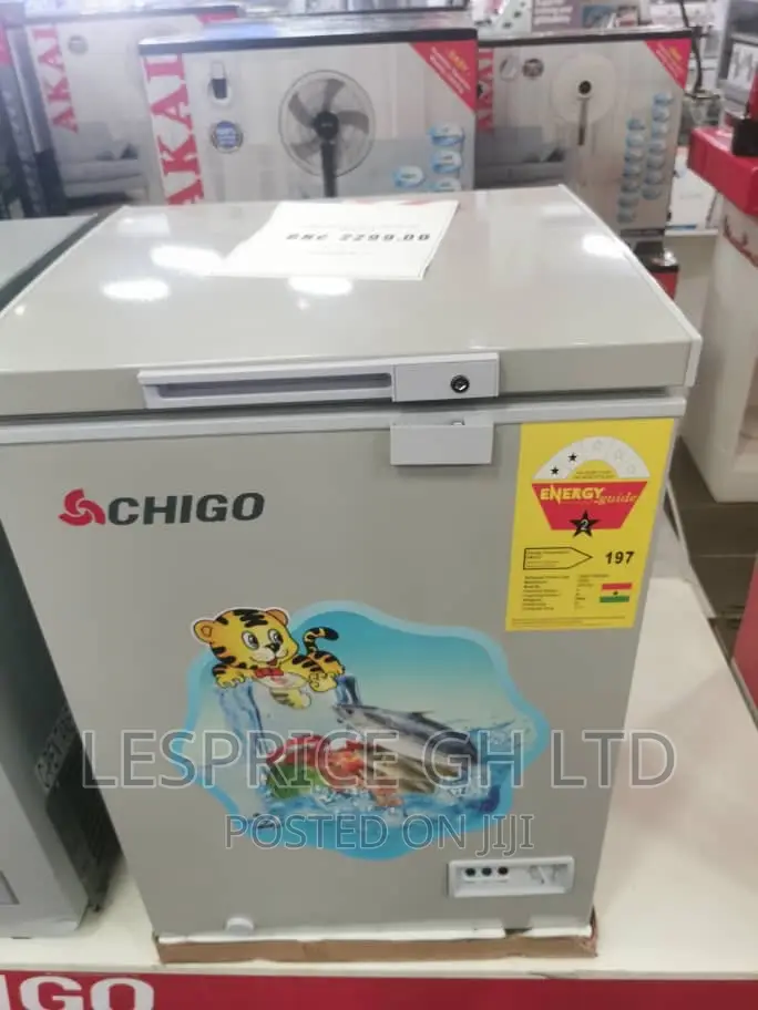 Energy Efficiency ~Chigo 93L Chest Freezer