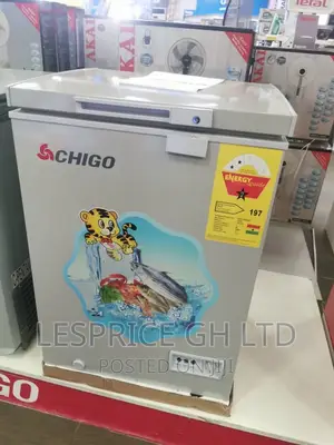 Chigo 93L High Quality Chest Freezer