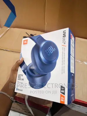 Dynamic Range Headphones JBL 660NC Blue