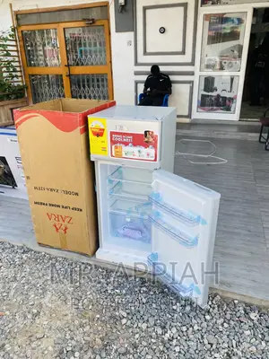 Affordable Zara 12TM Double Door Electric Refrigerator