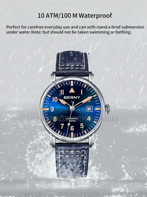 Watch Berny Mechanical Pilot Watch.