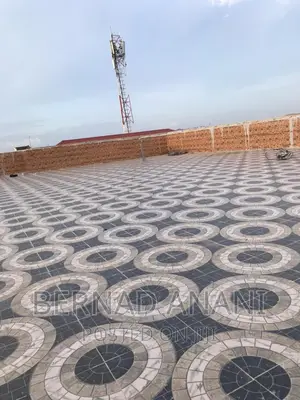 Professional Tiller